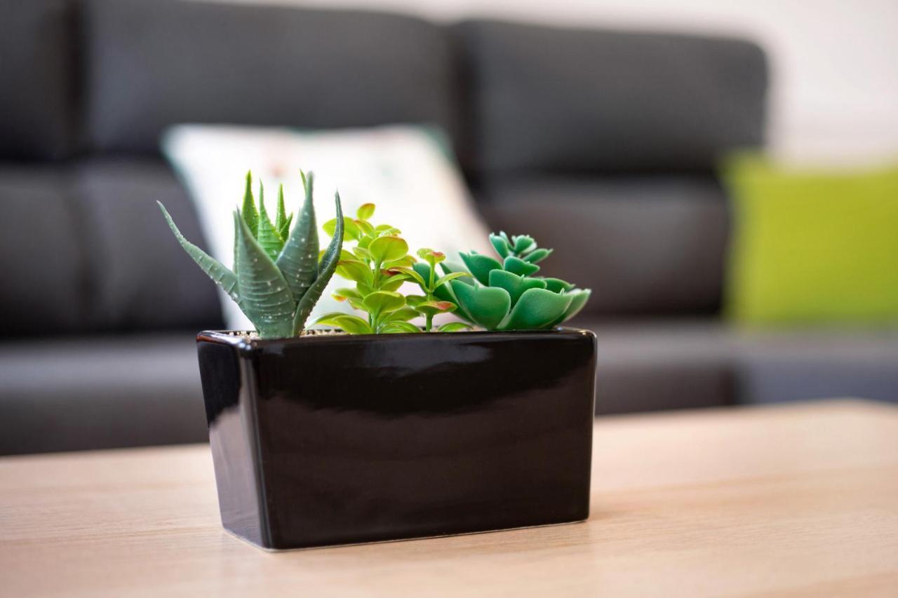 فيلا Casa Cactus أنتيغوا المظهر الخارجي الصورة